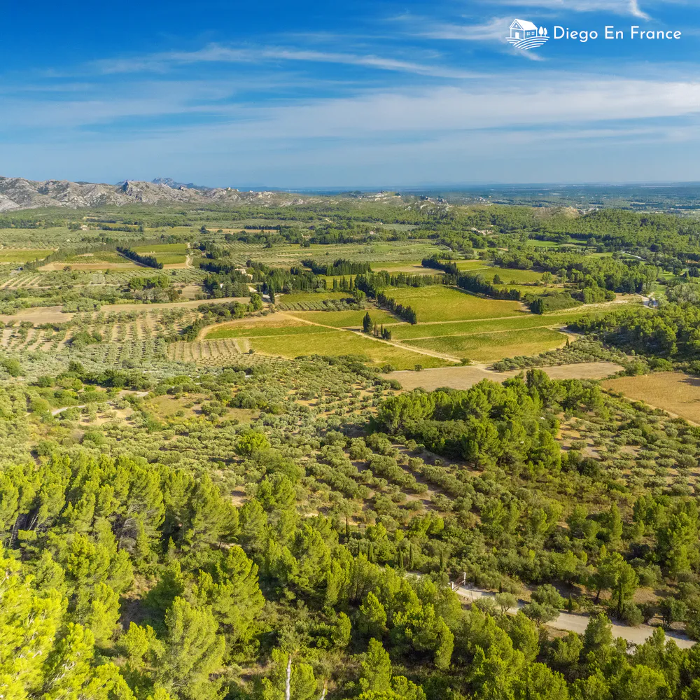 Panorámica del valle para visitar Les Baux de Provence y planificar rutas de senderismo