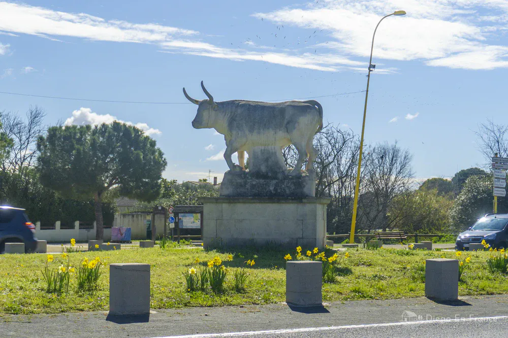 Fotografía de diegoenfrance.com mostrando detalles culturales únicos que encontrás cuando aprendés cómo conducir en Francia por carretera.
