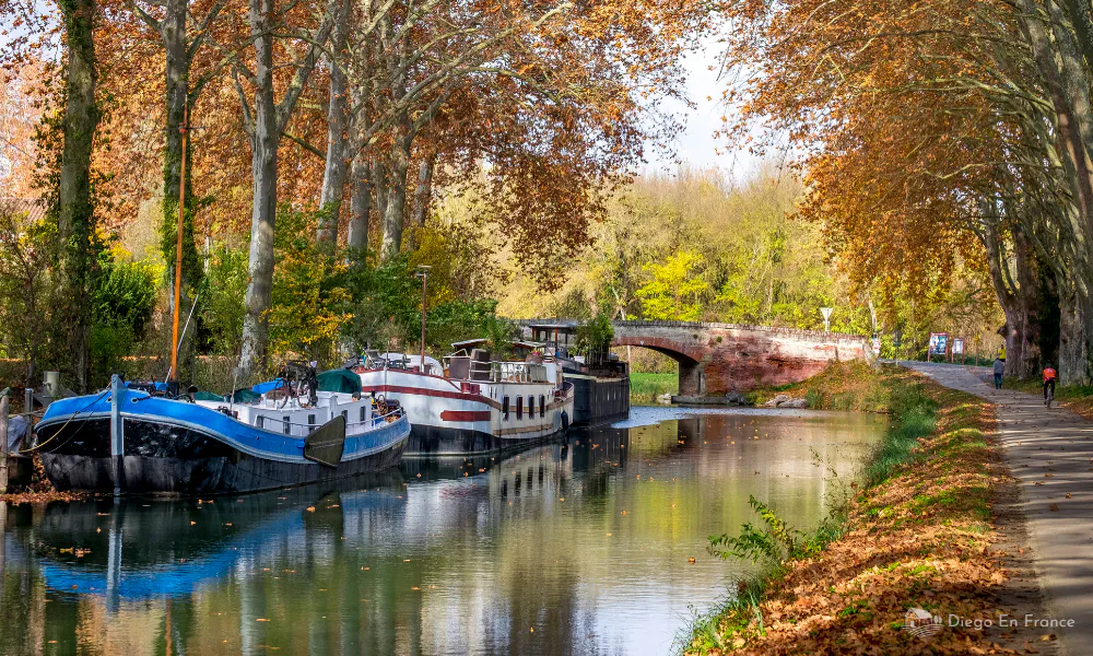 Moored barges and golden trees along the Canal du Midi, ideal for a relaxing stroll in Toulouse.