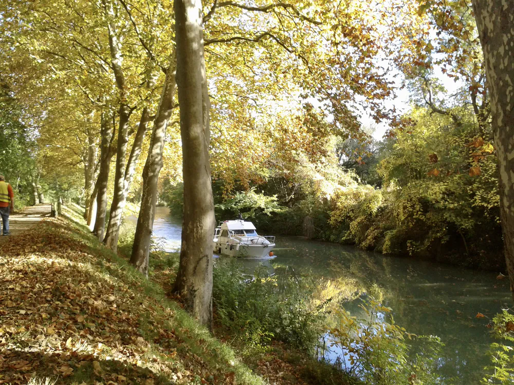 Boat sailing among golden leaves, a quiet and scenic plan to do in Toulouse at a leisurely pace