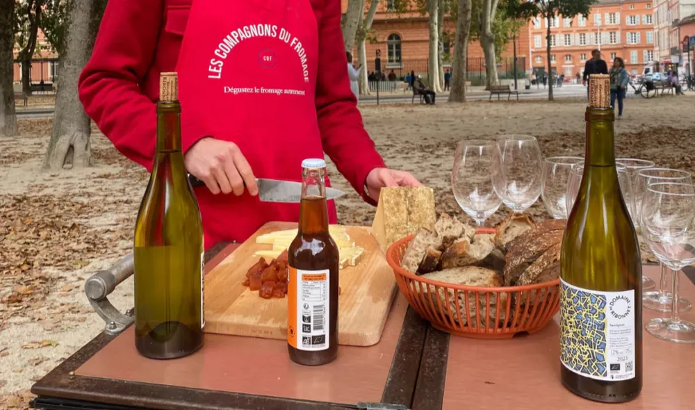 Detail of a tasting of regional specialties such as cured meats, cheeses and wines on a gastronomic tour in Toulouse full of authentic flavors.