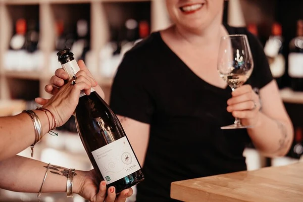 Gaillac and Fronton wine tasting, a sensory experience to do in Toulouse with glass in hand
