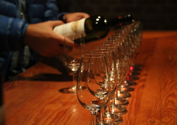 Gaillac and Fronton wine tasting, a sensory experience to do in Toulouse with glass in hand