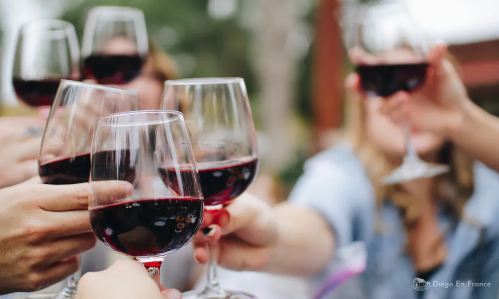 Group toasting with regional wines on a gastronomic tour in Toulouse, enjoying local specialties and discovering French cuisine.