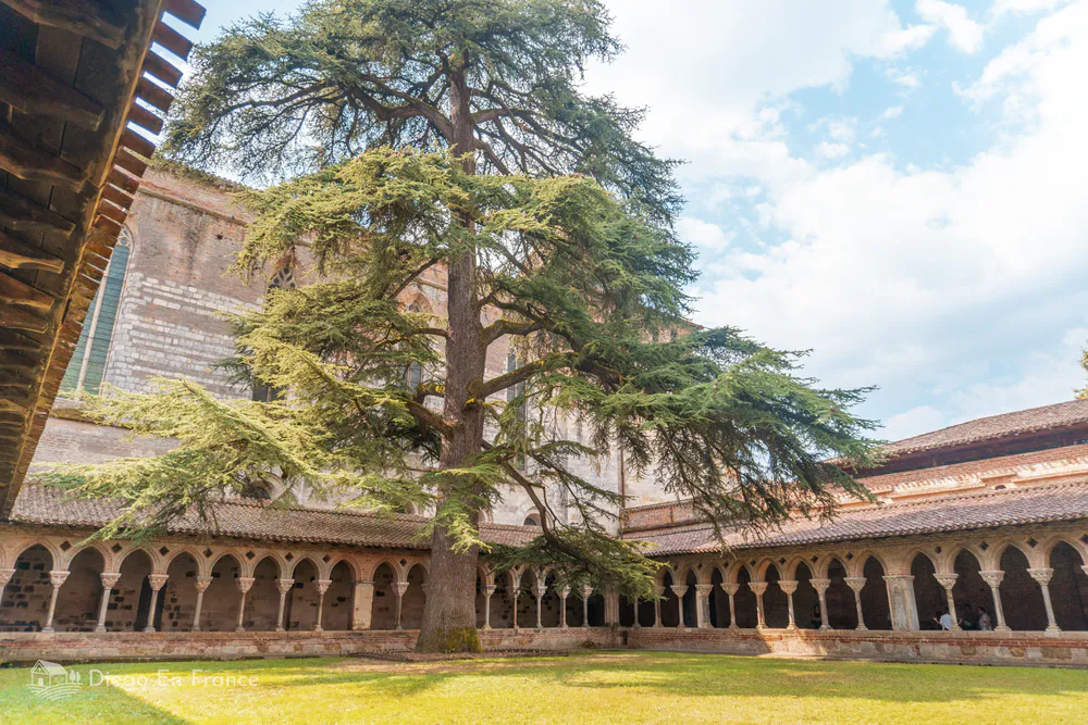 View of the Romanesque cloister of the abbey of Moissac with its central cypress, one of the hidden treasures to visit from Toulouse. Photo by diegoenfrance.com 
