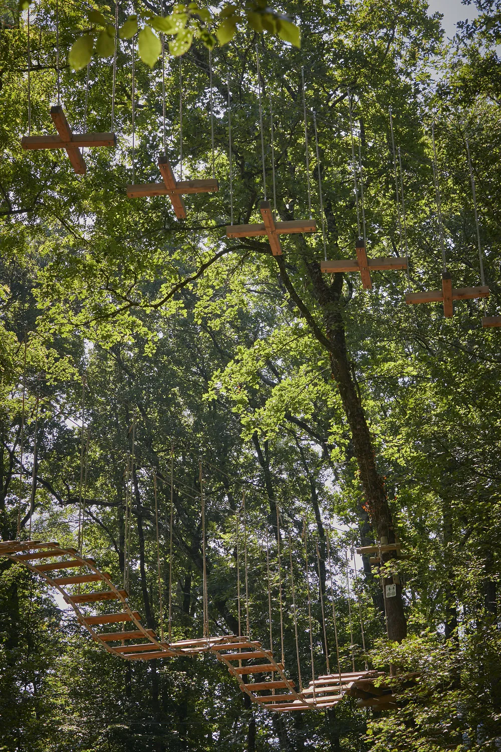 Natura Game adventure park near Saint-Sulpice-la-Pointe with zip lines and suspended platforms.