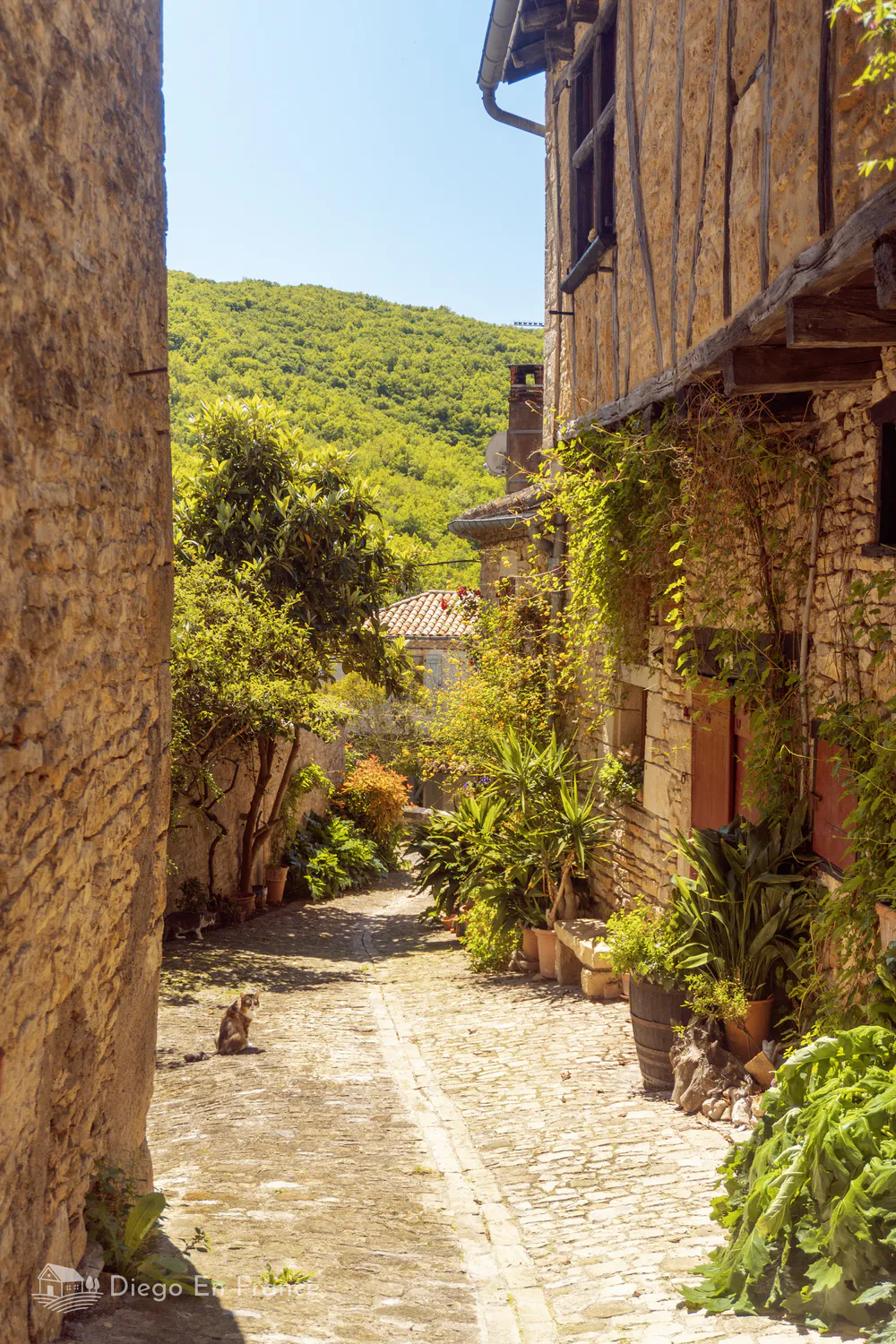 A cobbled street in Bruniquel descending toward the valley, framed by greenery and medieval façades.