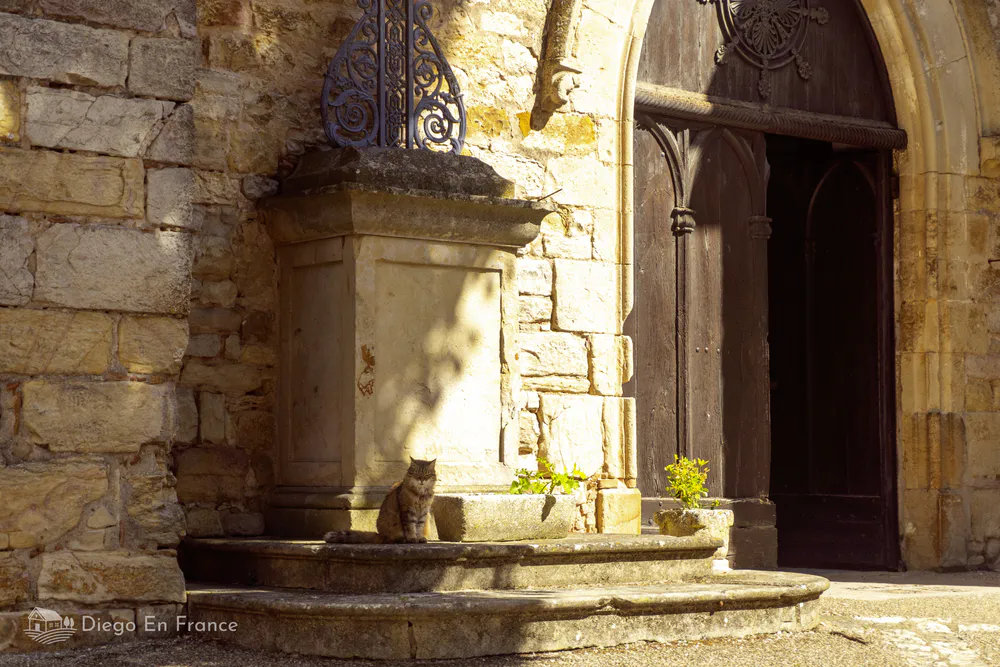Charming detail in Puycelsi: a cat rests by the fountain in front of the medieval church.