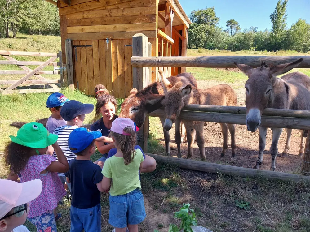 Family activity at La Ferme du Petit Poucet, an interactive rural experience for the little ones.