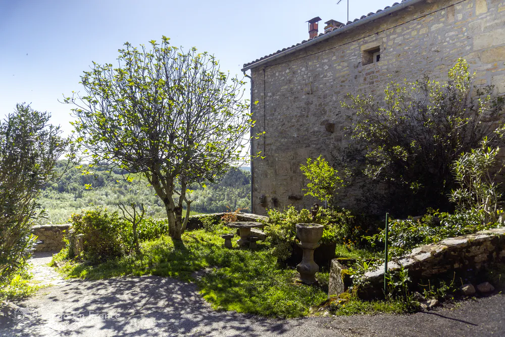 Green space in a square in Puycelsi, ideal for resting and enjoying the rural environment.