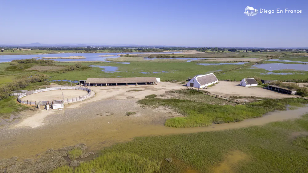 Paysage de Camargue avec des marais, une manade et son amphithéâtre circulaire typique. Photo par diegoenfrance.com