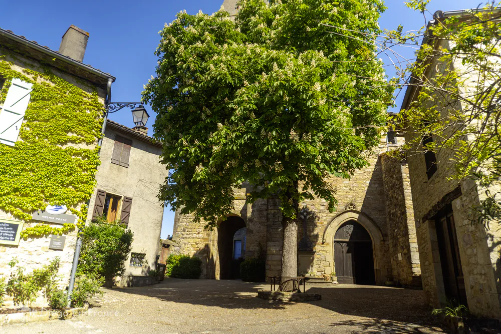 Puycelsi's central square, with its gothic church and a setting of tranquility and natural beauty.