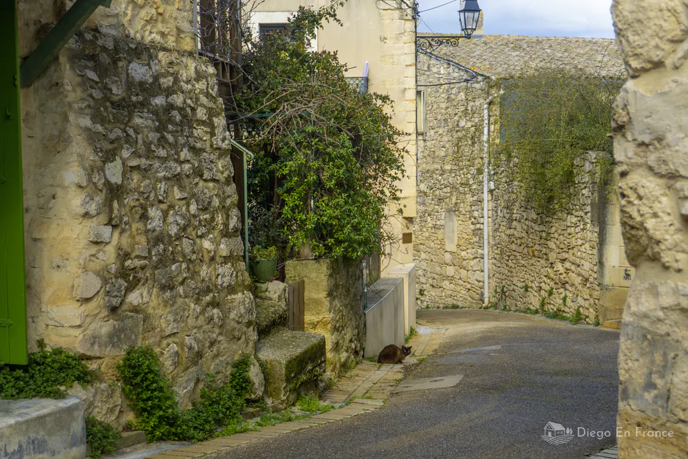 Rue pavée avec des maisons anciennes à Saussines - Photo par diegoenfrance.com